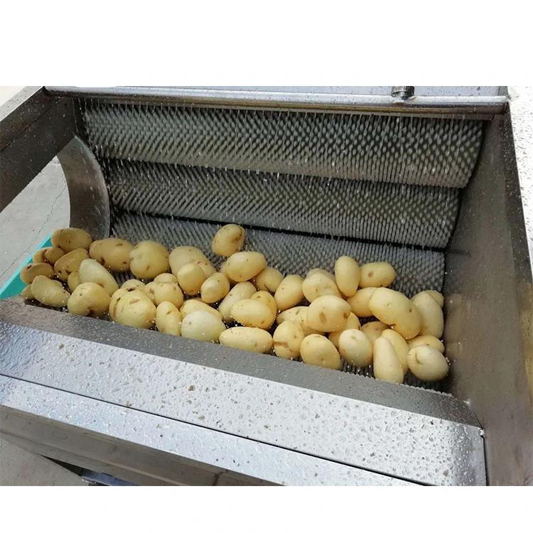 Potato cleaning and peeling machine;lotus root peeling machine - CECLE Machine