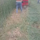 Height Adjustable Mini Forage Harvester for Rice Mini Harvester 4lz 0.8 Mini Combine Harvester