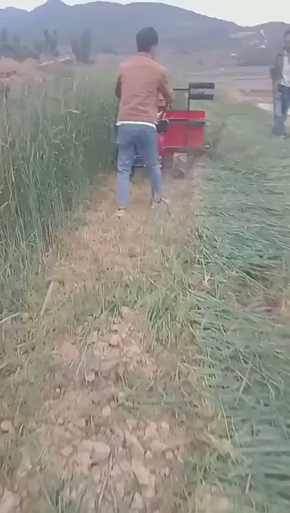 Height Adjustable Mini Forage Harvester for Rice Mini Harvester 4lz 0.8 Mini Combine Harvester