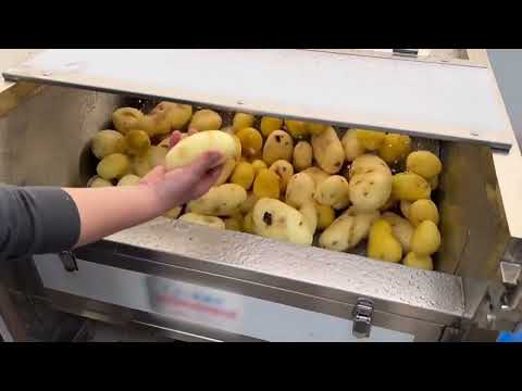 Potato, Cassava, Yam and Oyster Cleaning and Hair roller cleaning Peeling Machine