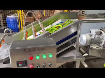 Commercial bubble water multi functional fruit and vegetable washer