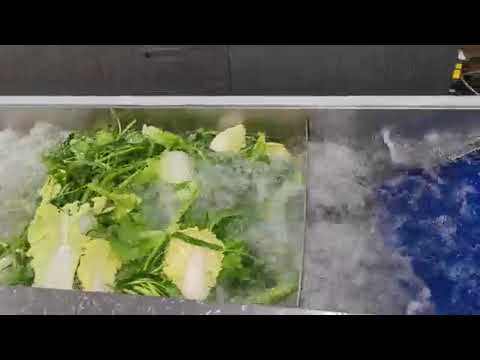 Commercial bubble water multi functional fruit and vegetable washer