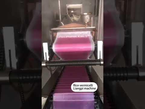 Flat rice noodle making machine fresh rice noodle machine pho rice noodles machine