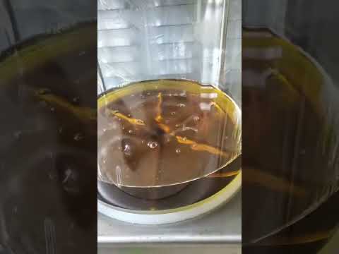 Commercial peanut sesame flaxseed oil press soybean sesame oil