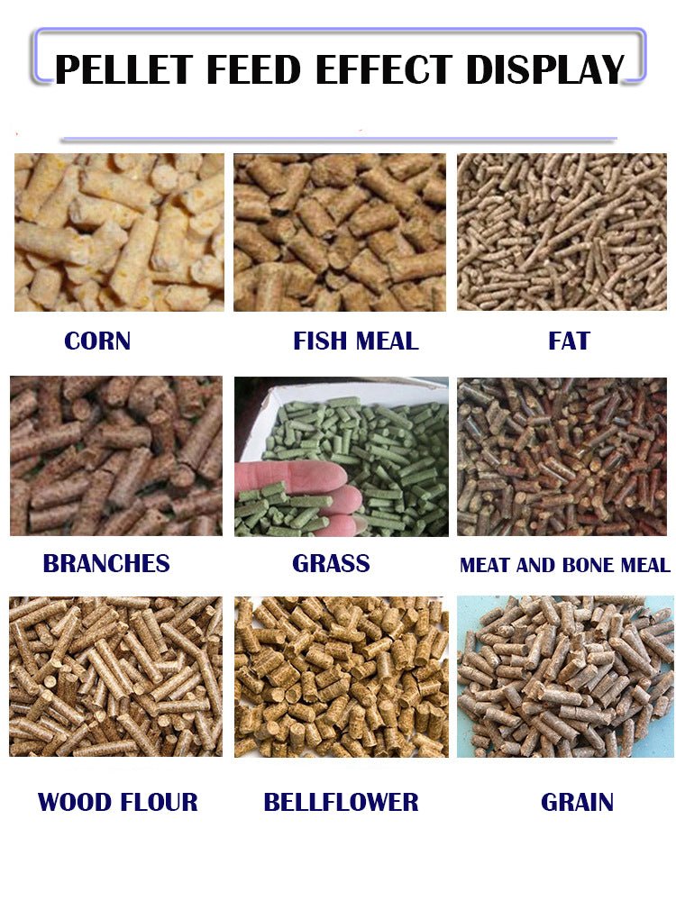 Animal floating fish chicken poultry feed pellet mill making machine - CECLE Machine