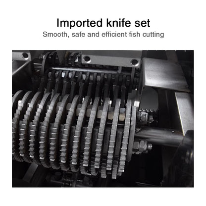 Automatic commercial fish killing machine with open belly and back - CECLE Machine