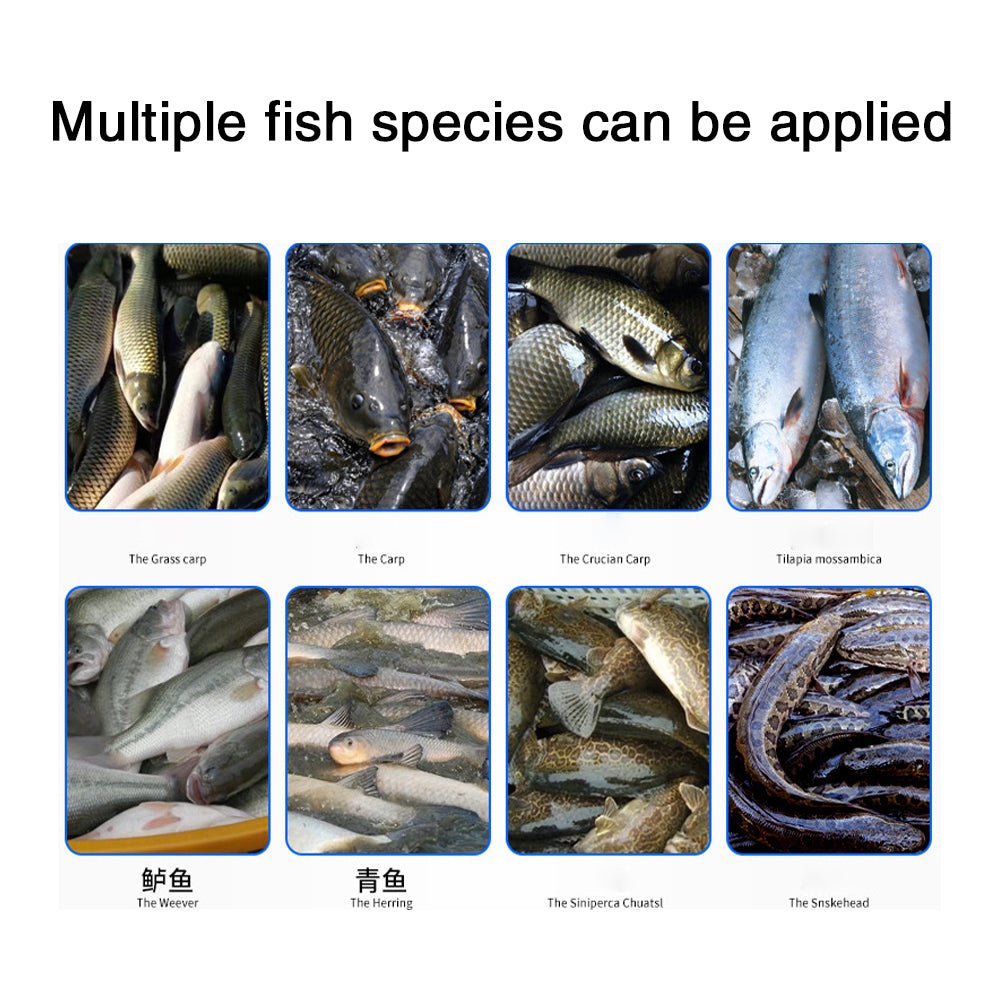 Automatic commercial fish killing machine – CECLE Machine