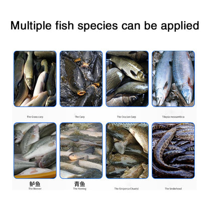 Automatic commercial fish killing machine with open belly and back - CECLE Machine