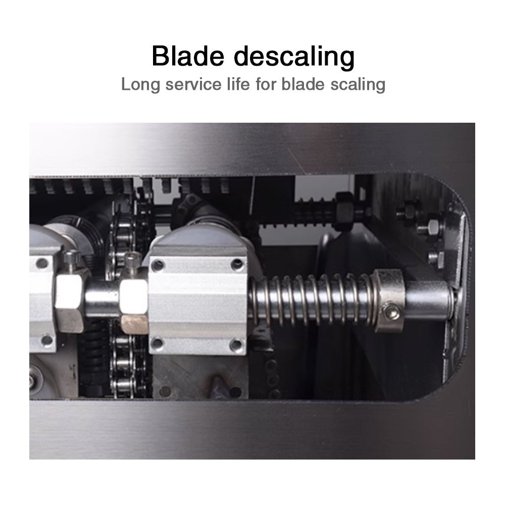 Automatic commercial fish killing machine – CECLE Machine