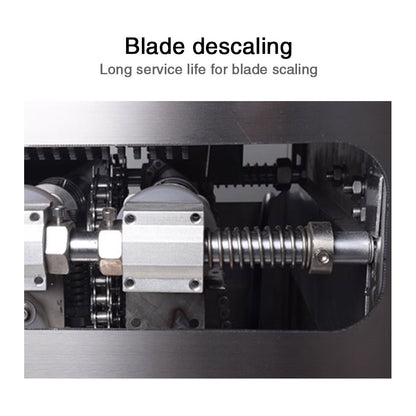 Automatic commercial fish killing machine with open belly and back - CECLE Machine
