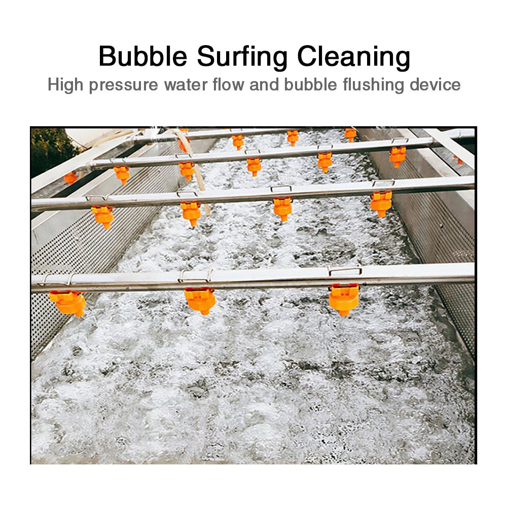 Commercial bubble water multi functional fruit and vegetable washer - CECLE Machine