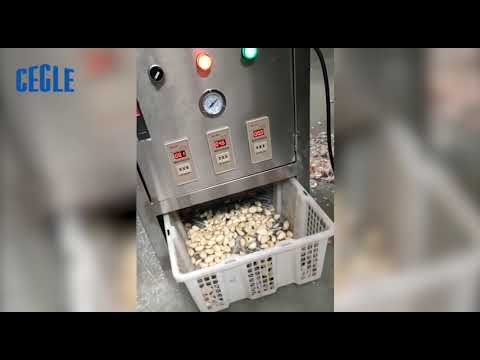 Commercial household stainless steel Rapid peeling Garlic machine