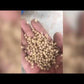 Grain Free Dry Wet Pet Poultry Fish Animal Feed Pellet Making Machine