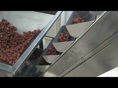Bucket Elevator For Particles /Rice