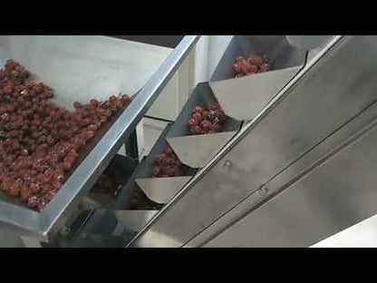 Bucket Elevator For Particles /Rice