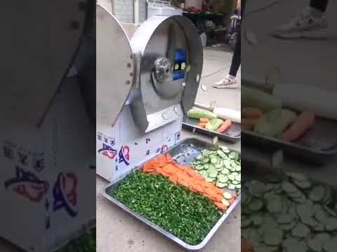 Commercial vegetable slice double speed cutting machine