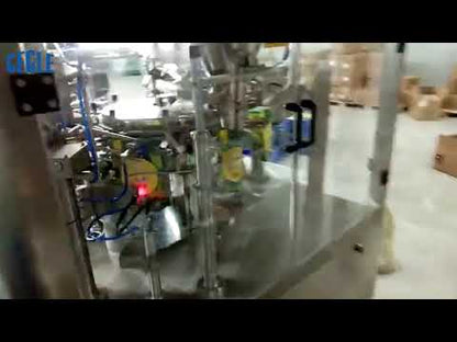 Automatic Granule/Pratical Stand-Up Pouch Packing Machine , Premade Pouch Filling and Sealing Machine for nuts/dried fruit