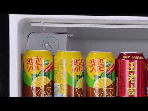 Home Office Portable Small Refrigerator 70L 2.5 cu.ft. for Drinks, Fruits and Breast Milk
