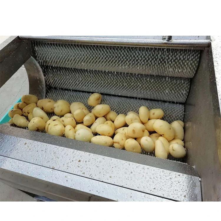 Potato cleaning and peeling machine；lotus root peeling machine - CECLE Machine